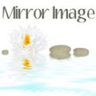 Mirror Image Salon & Spa