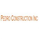 Pedro Construction Inc.