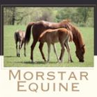 Morstar Equine