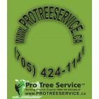 Pro Tree Service