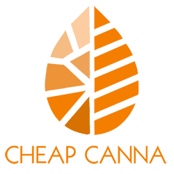 Cheap Canna