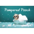 Pampered Pooch