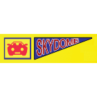 Skydome Emission & Alignment Centre Inc