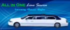 All In 1 Limo & Auto Service