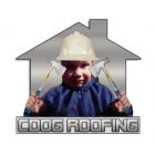 Cdog Roofing Company