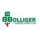 Bolliger Landscapes Ltd