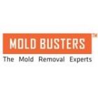 Mold Busters: Air Quality Test Experts