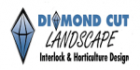 Diamond Cut Landscape