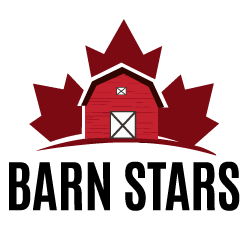 Barn Stars | Barn Painting and Repair Ontario