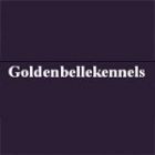 Goldenbelle Kennels