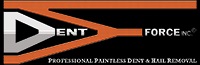 DENT FORCE Paintless Dent Repair